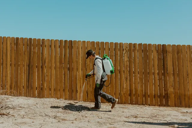 NEARPEST technician using a backpack sprayer along a wooden fence in a desert yard