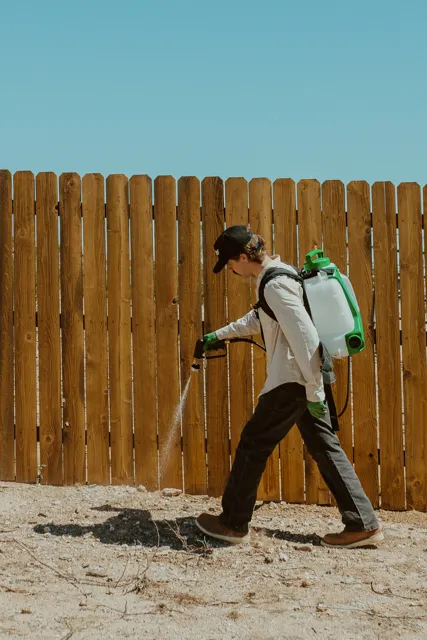 NEARPEST technician using a backpack sprayer along a wooden fence in a desert yard