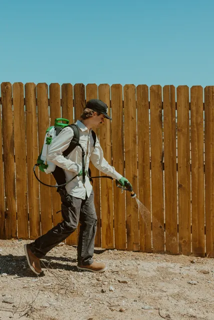 NEARPEST technician using a backpack sprayer along a wooden fence in a desert yard