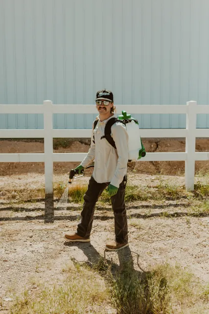 NEARPEST team member wearing a backpack sprayer beside a white rail fence