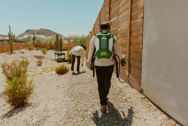 NEARPEST technician using a backpack sprayer beside a wooden fence in a desert yard