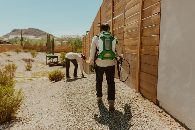 NEARPEST technician using a backpack sprayer beside a wooden fence in a desert yard