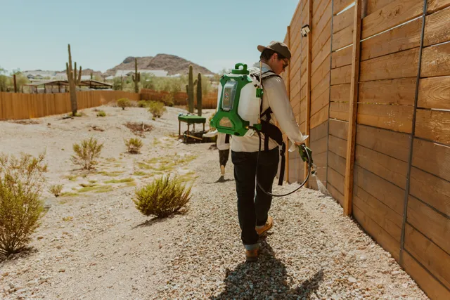 NEARPEST technician using a backpack sprayer beside a wooden fence in a desert yard